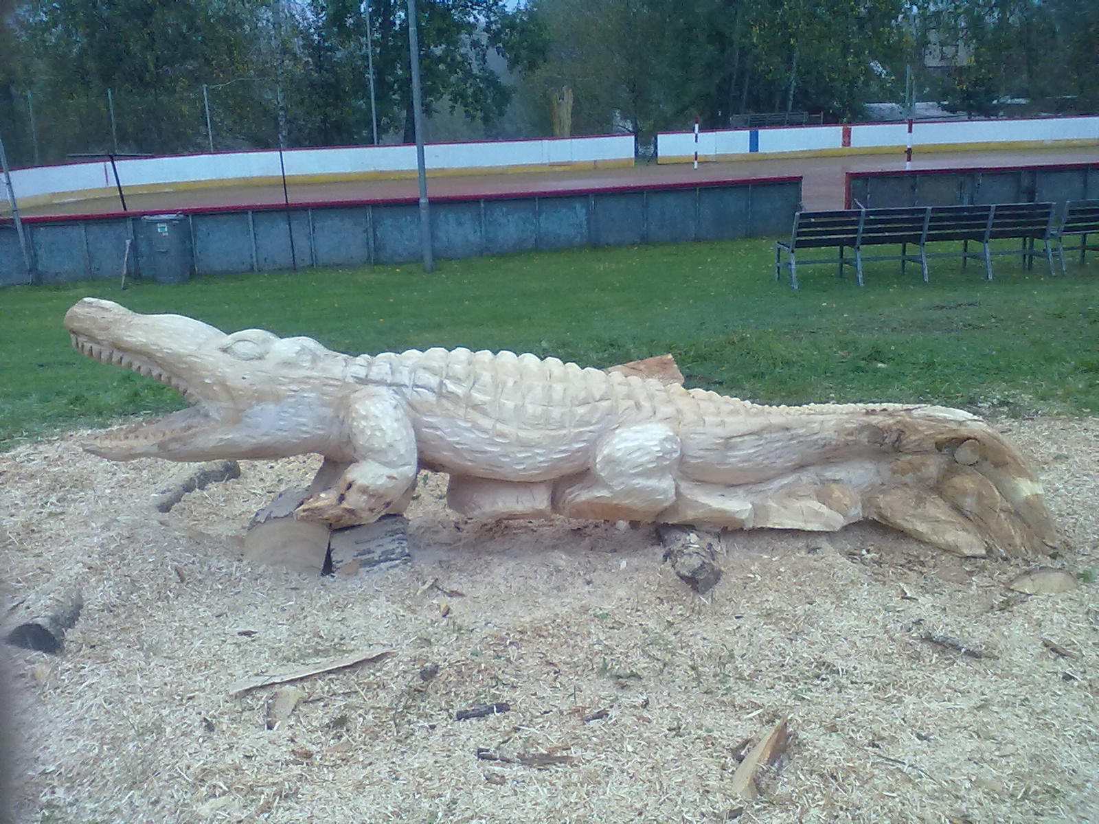 Krokodýl II
